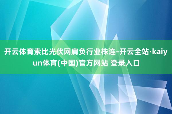 开云体育索比光伏网肩负行业株连-开云全站·kaiyun体育(中国)官方网站 登录入口
