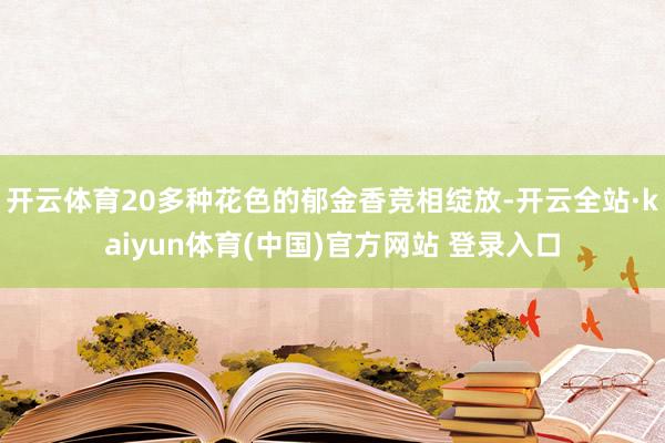 开云体育20多种花色的郁金香竞相绽放-开云全站·kaiyun体育(中国)官方网站 登录入口