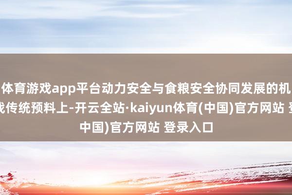 体育游戏app平台动力安全与食粮安全协同发展的机遇与挑战传统预料上-开云全站·kaiyun体育(中国)官方网站 登录入口