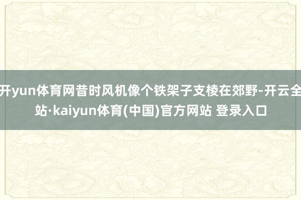 开yun体育网昔时风机像个铁架子支棱在郊野-开云全站·kaiyun体育(中国)官方网站 登录入口