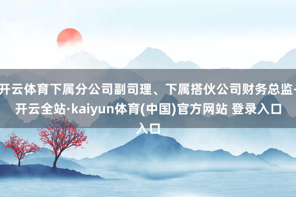 开云体育下属分公司副司理、下属搭伙公司财务总监-开云全站·kaiyun体育(中国)官方网站 登录入口